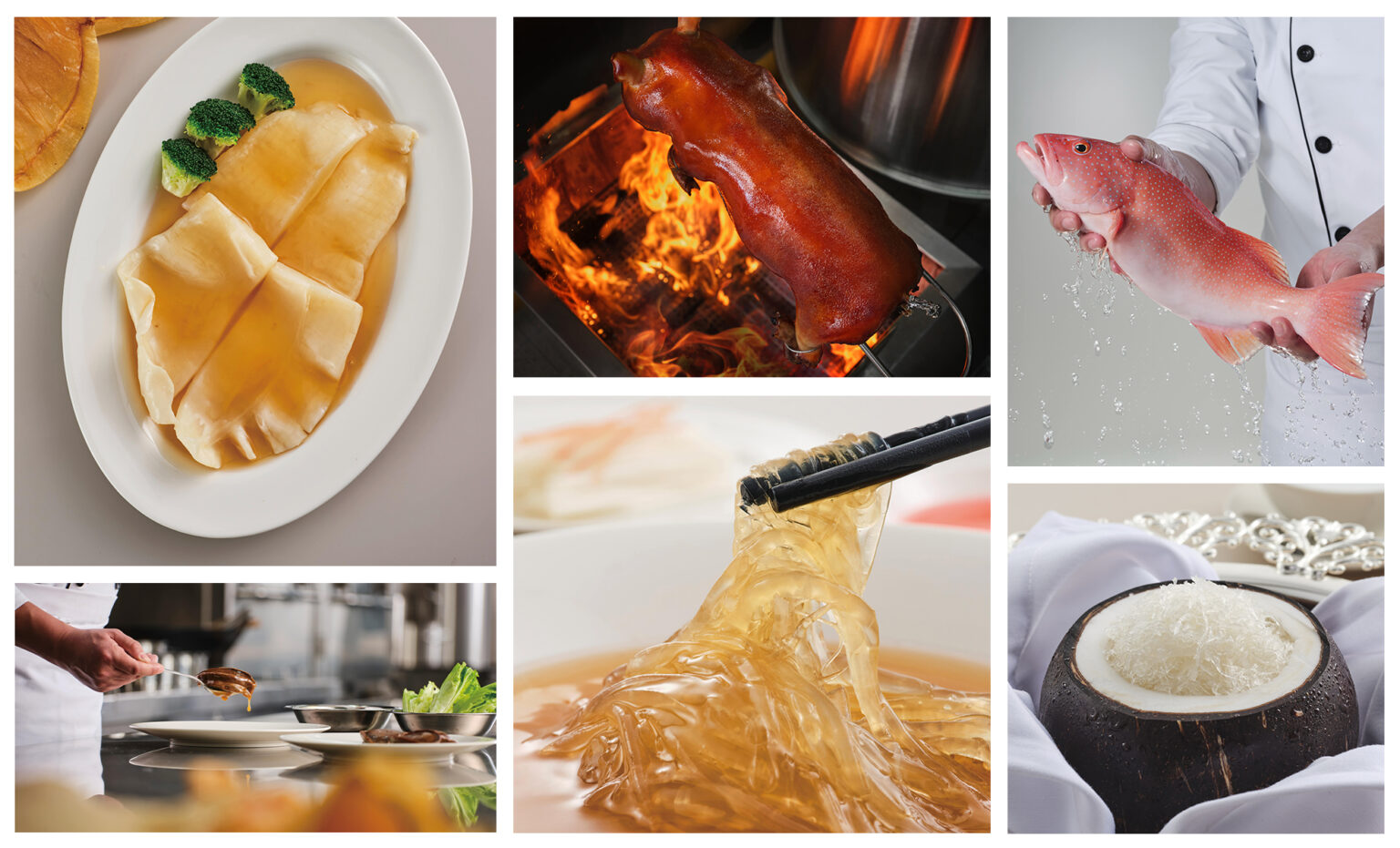fook wo kong premium cantonese restaurant design by thread - photo shoot